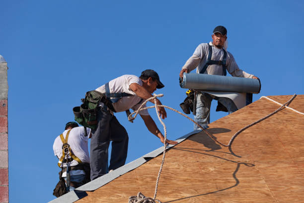 Best Local Roofing Companies  in Anderson Island, WA